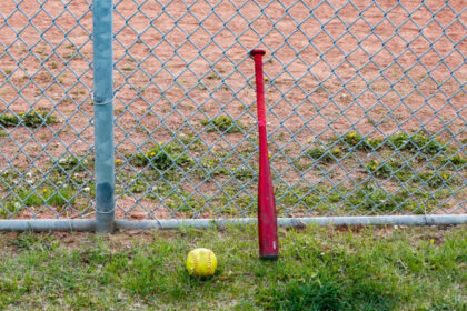 Alice Thunder Indoor Batting Cage