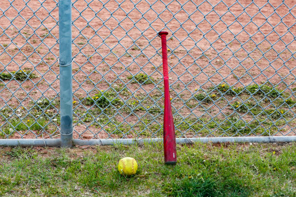 Alice Thunder Indoor Batting Cage